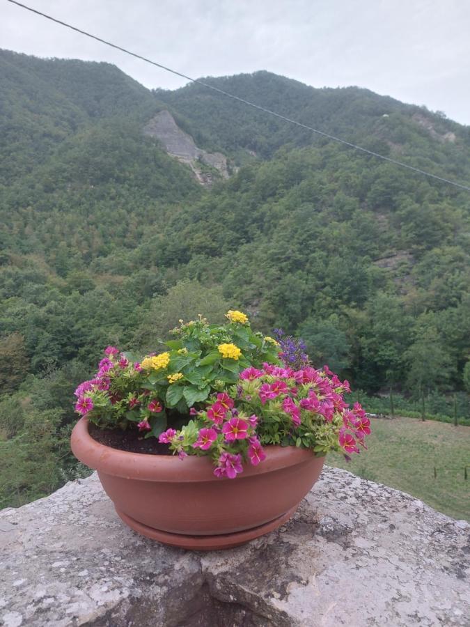 B&B Donnini Firenzuola Esterno foto