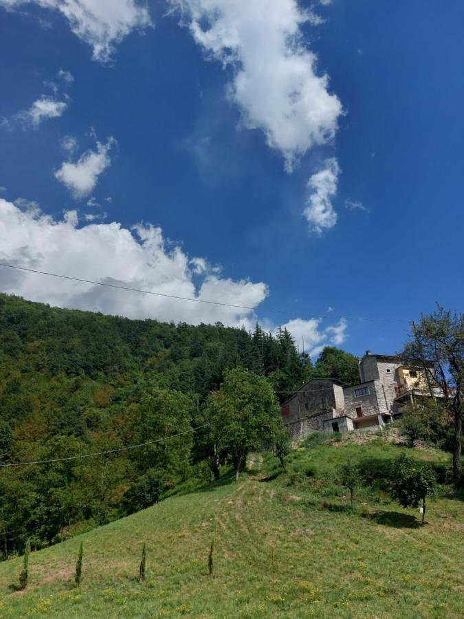 B&B Donnini Firenzuola Esterno foto